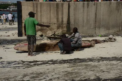 DSC_7619 (Large).JPG